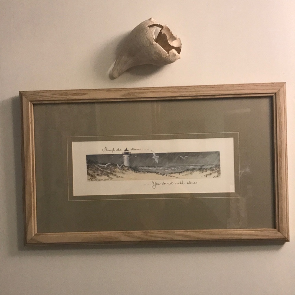 “Through the Storm” by D. Morgan